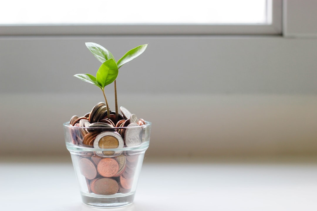 Smart Savings Strategy Program